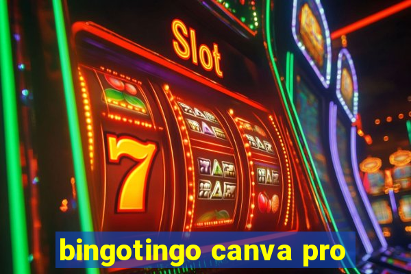 bingotingo canva pro